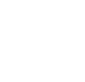 Government Initiative