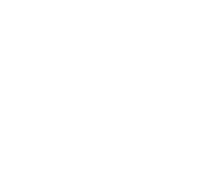 Government Initiative