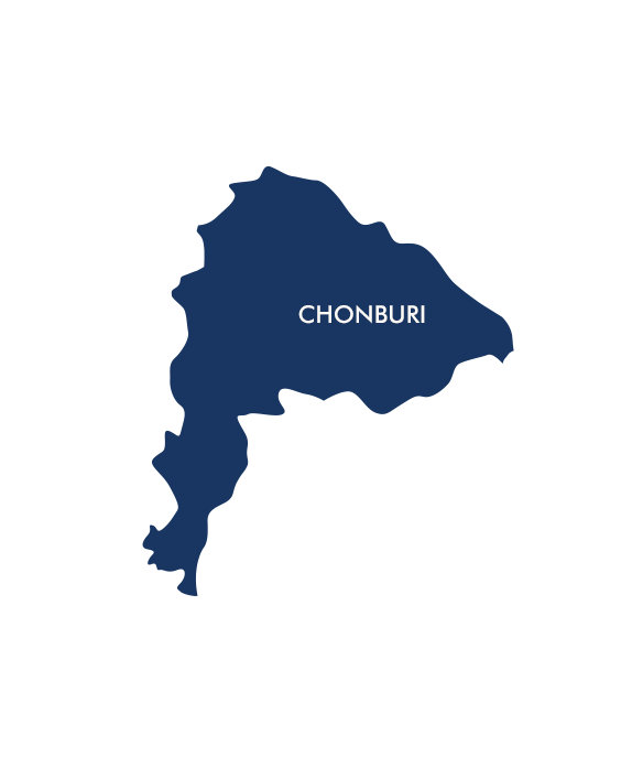 Government Initiative