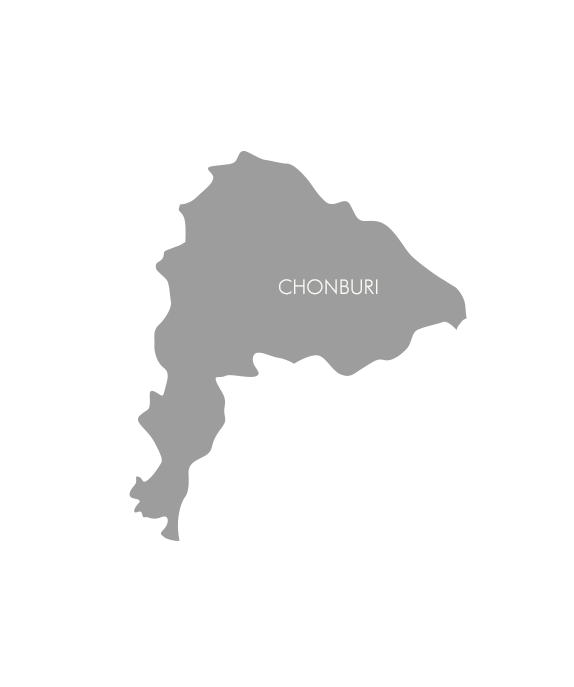 Government Initiative
