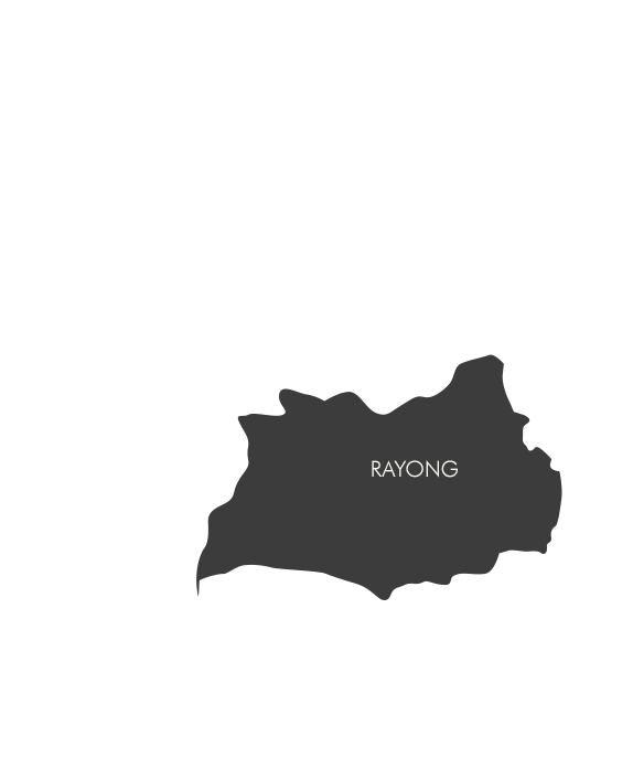 Government Initiative